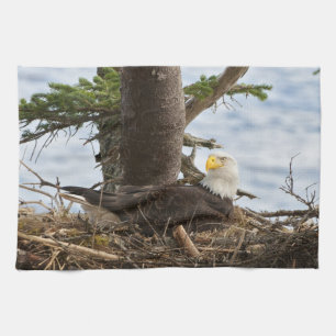 Nesting Bald Eagle Geschirrtuch