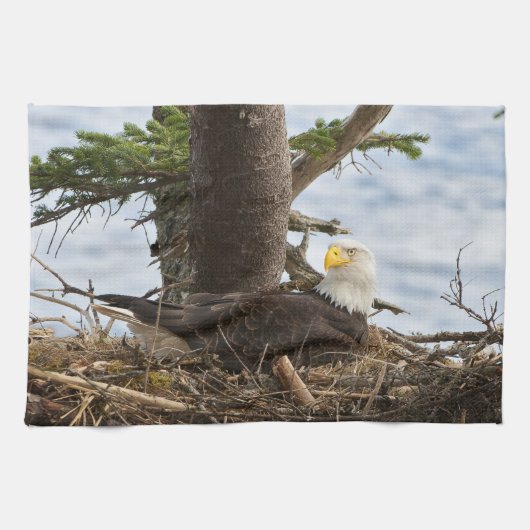 Nesting Bald Eagle Geschirrtuch (Horizontal)