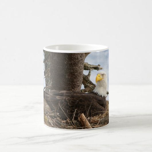 Nesting Bald Eagle Kaffeetasse (Mittel)