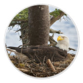 Nesting Bald Eagle Keramikknauf (Vorderseite)