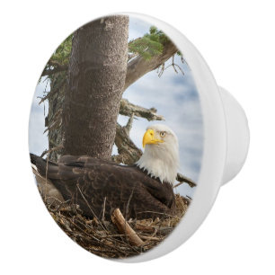 Nesting Bald Eagle Keramikknauf