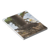 Nesting Bald Eagle Notizblock (angewinkelt)