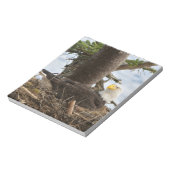 Nesting Bald Eagle Notizblock (Rotiert)