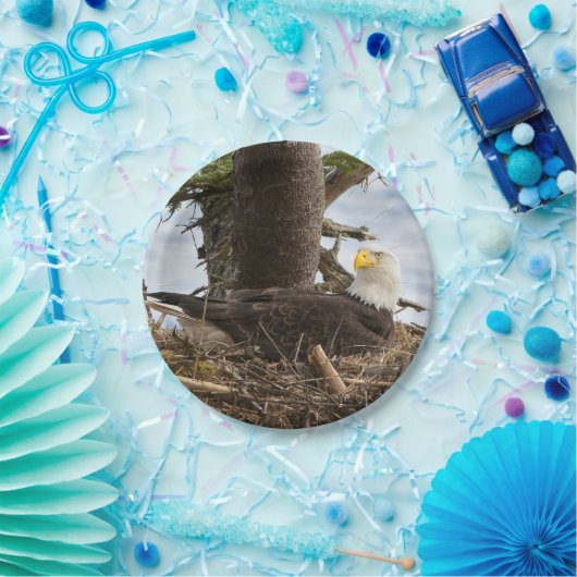 Nesting Bald Eagle Pappteller (Party)