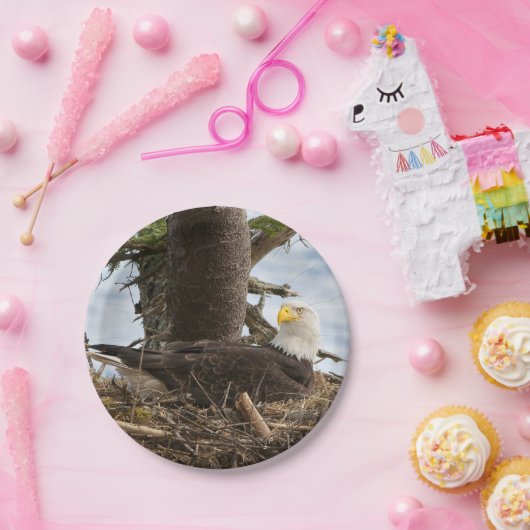 Nesting Bald Eagle Pappteller (Party)