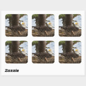 Nesting Bald Eagle Quadratischer Aufkleber (Blatt)