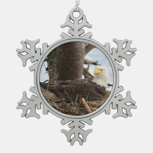 Nesting Bald Eagle Schneeflocken Zinn-Ornament (Vorderseite)