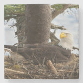 Nesting Bald Eagle Steinuntersetzer (Vorderseite)