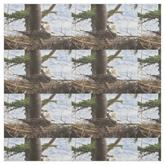 Nesting Bald Eagle Stoff (Muster)