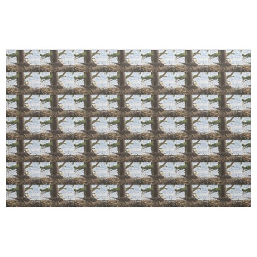 Nesting Bald Eagle Stoff (Fat Quarter (45,7 x 55,9 cm))