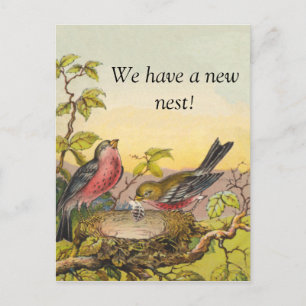 Nesting Birds New Address Postcard Ankündigungspostkarte
