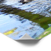 ‚Nesting Encks‘ Poster (Ecke)