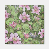 Nesting in Clematis Magnet (Vorne)