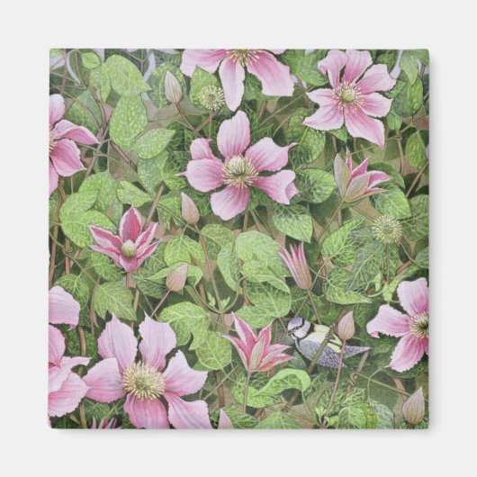 Nesting in Clematis Magnet (Vorne)