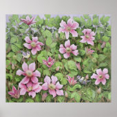 Nesting in Clematis Poster (Vorne)