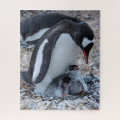 Nesting Penguin and Chicks On Ice Puzzle (Vertikal)