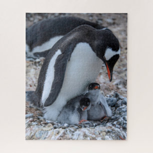 Nesting Penguin and Chicks On Ice Puzzle