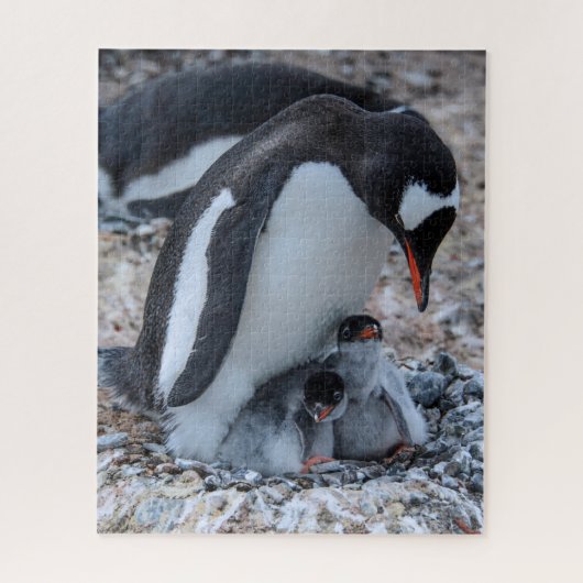 Nesting Penguin and Chicks On Ice Puzzle (Vertikal)