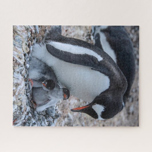 Nesting Penguin and Chicks On Ice Puzzle (Horizontal)