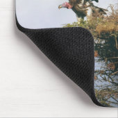 Nesting Vultures Mousepad (Ecke)