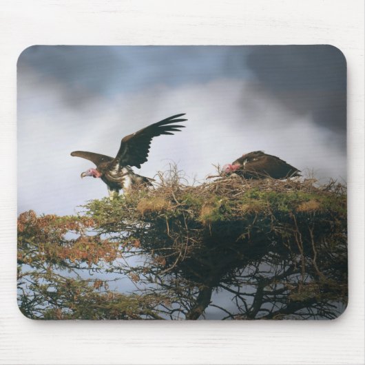 Nesting Vultures Mousepad (Vorne)