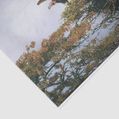 Nesting Vultures Seidenpapier (Ausschnitt)