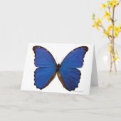 Nestira Marpho Karte (Gelbe Blume)
