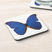 Nestira Marpho Schmetterling Untersetzer (Linke Seite)