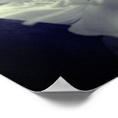 Nestled Clematis Blume Schwarz-Weiß Poster (Ecke)