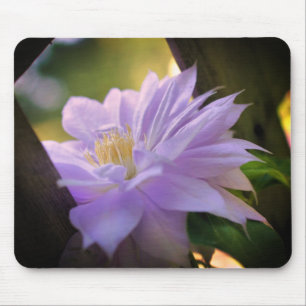 Nestled Clematis Flower Mousepad