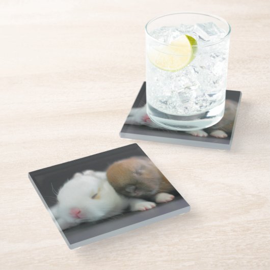 Netherland zwergartige Kaninchen Glasuntersetzer (Schrägansicht)
