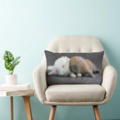 Netherland zwergartige Kaninchen Lendenkissen (Stuhl )