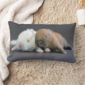 Netherland zwergartige Kaninchen Lendenkissen (Decke)