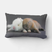 Netherland zwergartige Kaninchen Lendenkissen (Rückseite)