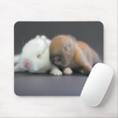 Netherland zwergartige Kaninchen Mousepad (Mit Mouse)