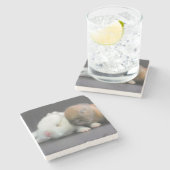 Netherland zwergartige Kaninchen Steinuntersetzer (Seitenansicht)