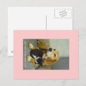 nett postkarte (Vorne/Hinten)