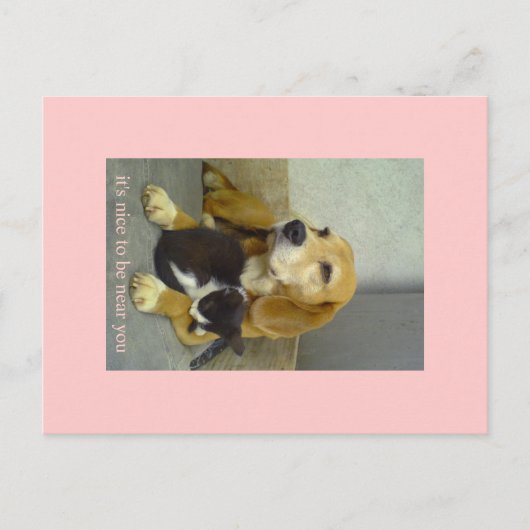 nett postkarte (Vorderseite)