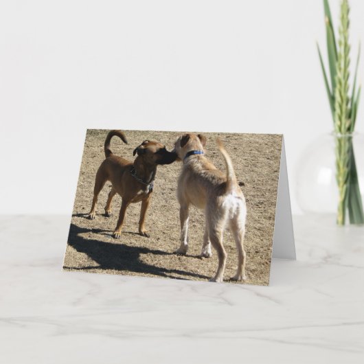 Nett, Sie zu treffen! Karte (Vorderseite)