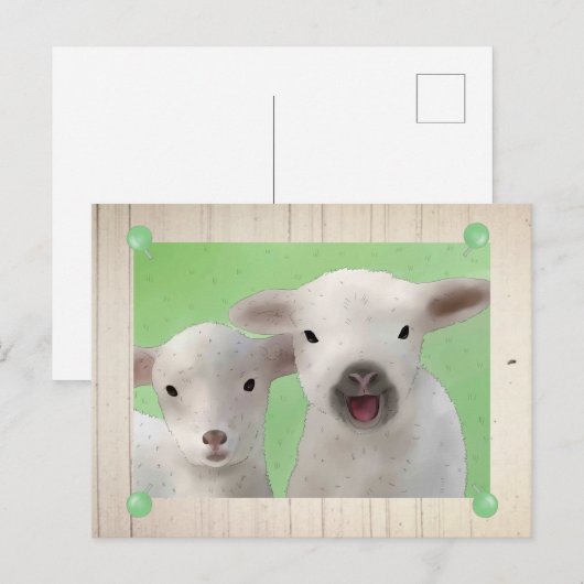 nette Weidelämmer Postkarte (Vorne/Hinten)