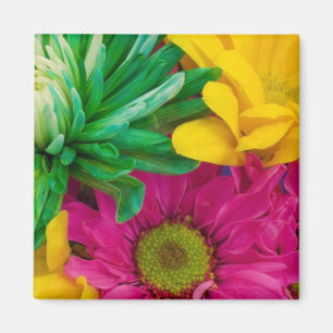 Netter Blumen-Magnet Magnet