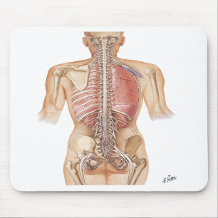 Netter-Dorn-Mausunterlage Mousepad