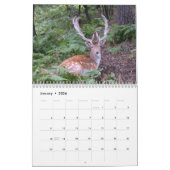 Netter Gestell-Wandkalender Kalender (Jan 2026)