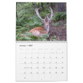 Netter Gestell-Wandkalender Kalender (Jan 2027)