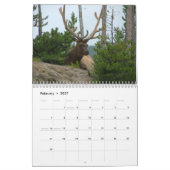 Netter Gestell-Wandkalender Kalender (Feb 2027)