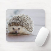 Netter Igel Mousepad (Mit Mouse)