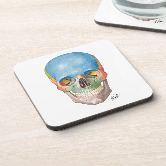 Netter-Schädel auf Sandstein-Untersetzer Getränkeuntersetzer (Linke Seite)