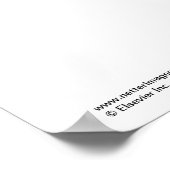 Netters Beckenfußplakat Poster (Ecke)