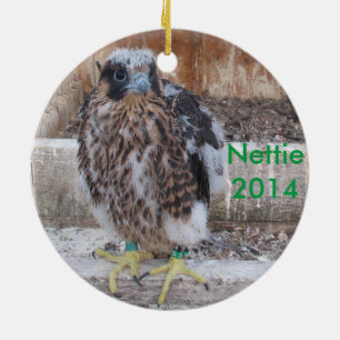 Nettie Verzierung 2014 Keramik Ornament