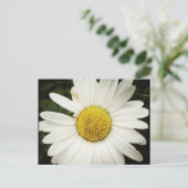 NettieMade Daisy Postcard Postkarte (Stehend Vorderseite)